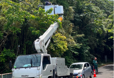 環境への配慮と持続可能性